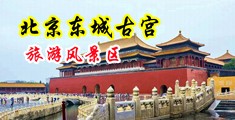 双飞15p中国北京-东城古宫旅游风景区